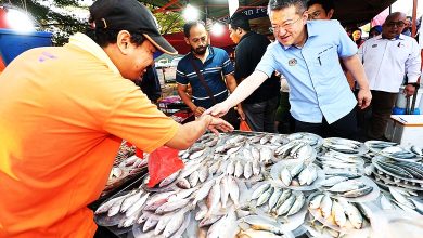 Photo of 刘镇东：6机构已发98亿微型融资 逾42万商家受惠