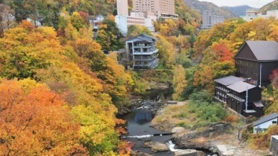 Photo of 应对外国游客涌入 日本多地考虑征住宿税