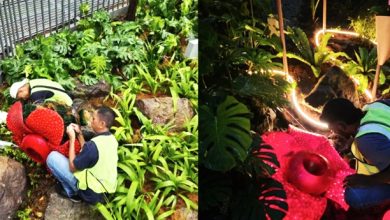 Photo of KLIA1“假鸟假花”惹议 设计团队：这是装置艺术