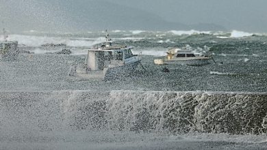 Photo of 多地晋紧急状态 11米高巨浪袭纽西兰