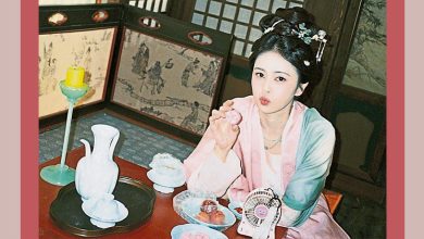 Photo of 白鹿身体撑不住 认靠药物才能睡