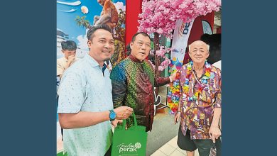 Photo of 载3千人领航星号首停靠 开创霹邮轮旅游
