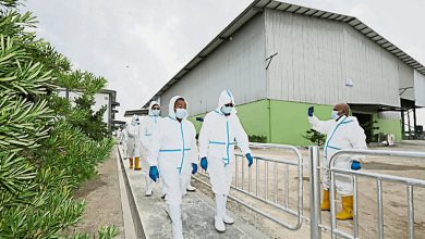 Photo of 28全面现代化 35提升中 霹养猪场转型领先全国