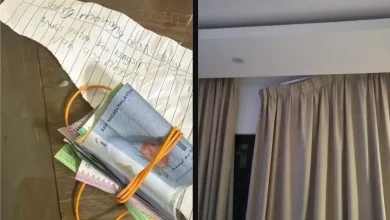 Photo of 9岁儿扮蜘蛛侠扯坏窗帘  挖空钱筒赔RM400给妈妈