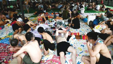 Photo of 今天演警察 明天装海关 10个猪仔9个诈骗