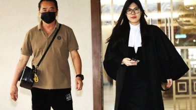 Photo of 中国籍前女员工控杀店长 案交高庭716审理