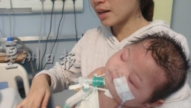Photo of “只想听她叫妈妈” 母亲守护病危女婴8个月