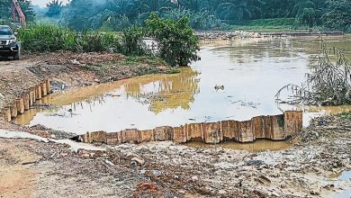 Photo of 防洪设施电缆频遭窃  水泵坏削排水效率