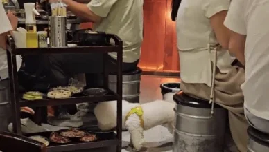 Photo of 狗狗挣脱狗绳偷吃整盘生肉 烤肉店停业3天全面消毒