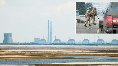 Photo of 【俄乌战争】国际原子能机构斡旋 扎波罗热核电站停火