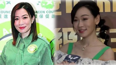 Photo of 不和杨思琦传闻再翻炒 佘诗曼“有人就有是非”