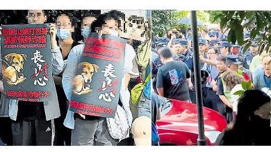 Photo of 重庆男扮领养再虐杀猫狗 动保民众示威警方清场