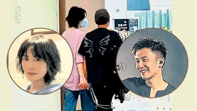 Photo of 王菲霆锋一路放闪 机场10指紧扣撒糖