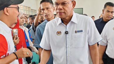 Photo of 赛夫丁: 社会须懂得区分 难民和非法移民