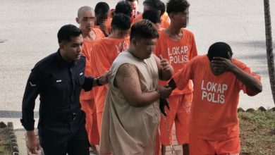 Photo of 毒驾狂飙连撞多车 胖男被扣查4天