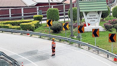 Photo of 抢夺食物滋扰民眾 霹河休息站猴患频传