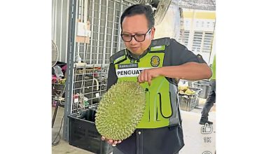Photo of 霹内贸局长突检榴槤档 业者没营业证接罚单
