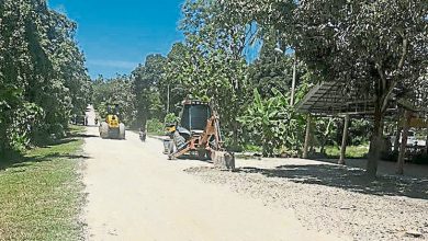 Photo of 话望生与瓜拉吉赖替代路线 特利马道路提升动工