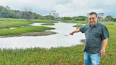 Photo of 雷宝翔：甲拉也填海区 积水养蚊垃圾引关注