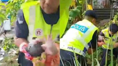 Photo of 草丛发现初生女婴 警方追查生母下落