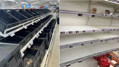 Photo of 【强烈台风巴威】杭州超市货架清空 市民:一个鸡蛋都买不到