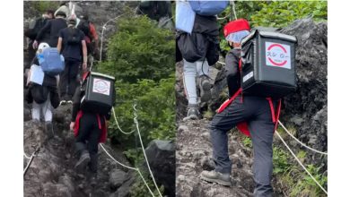 Photo of 爬富士山竟遇外卖员 网友: 谁在山顶吃寿司?