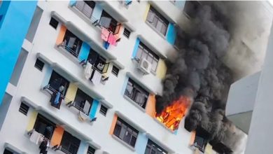 Photo of 狮城组屋起火 46岁女涉纵火恶作剧被捕