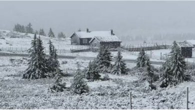 Photo of 欧洲高温狂袭 挪威却下起雪