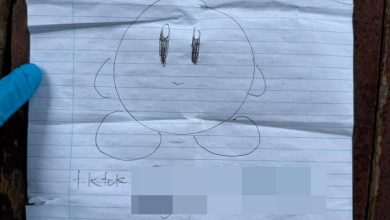 Photo of 万津校园伤人案 | 网传手写信属实 警队外泄的
