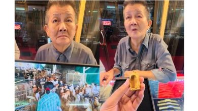 Photo of 女富豪破产卖黄金 只为救1700流浪动物