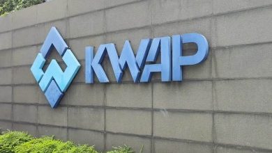 Photo of KWAP投资eFishery损失2亿 安华今国会解释