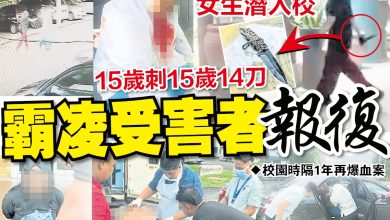 Photo of 校园再传血案 遭霸凌被开除 女生持刀伤人