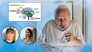 Photo of 【记忆、爱 以及我是谁 上篇】当语言在记忆里迷路 ──医疗口译员与神经内科医生的失智症对谈