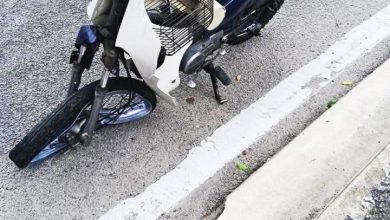 Photo of 阿儿玛突刮狂风 树干掉落击中摩多骑士
