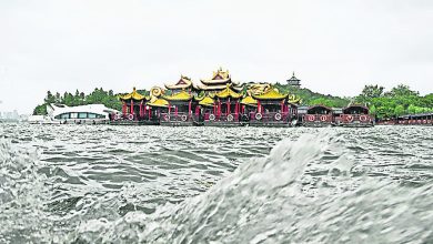 Photo of 中水利部要求加强监测 苏皖赣鲁启动洪水防御