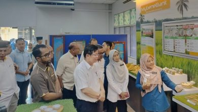 Photo of 槟政府发一次性500援助金 惠及6572稻农菜农