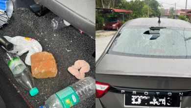 Photo of 两少年砸8车镜 警24小时闪电破案