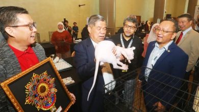 Photo of 大马禁泰虾进口协商 农长:料月杪有结果
