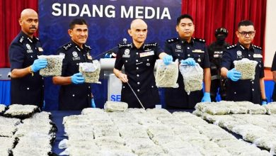Photo of 警一周再破6毒品案 起千万元大麻花 捕7男女