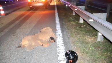 Photo of 东海岸大道车祸4死20伤 “妳丈夫已经不在了” 闺蜜报死讯泪崩