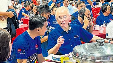 Photo of 魏家祥:服务基层 不畏强敌 “送马华女将入议会”