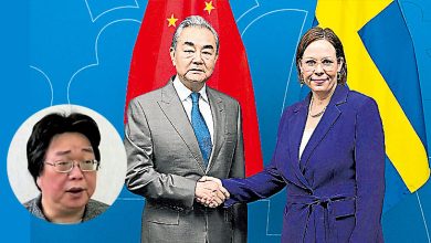 Photo of 瑞典外长与王毅会谈 获告知桂民海健康无虞