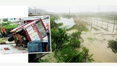 Photo of 台风巴威两度登陆浙江 减弱为强烈热带风暴