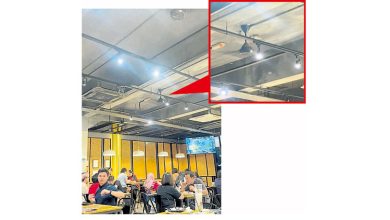 Photo of 餐厅用餐老鼠爬横梁 网友:已被暂关整顿