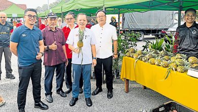 Photo of 真纳昌明农业促销活动 陈泓缣最强推销员叫卖