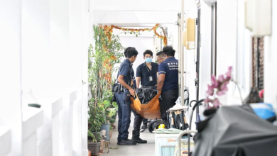Photo of 门外报纸成堆 飘腐臭味 邻居报警揭阿叔卧尸家中