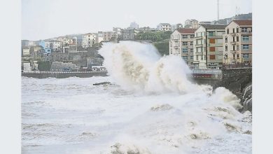Photo of 多地启动防汛应急响应  强台巴威今登陆浙闽