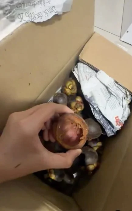 女子网购山竹准备大快朵颐时，岂料许多山竹竟只剩外壳，果肉不翼而飞，让她惊诧不已。（Threads图）