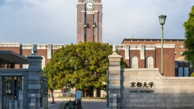 Photo of 京都大学校园熊出没 校方通报师生引恐慌