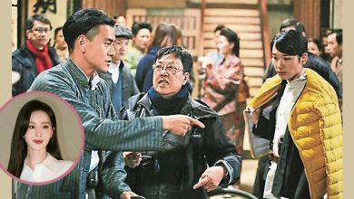Photo of 《梅英》彭于晏3搭许鞍华踩雷 刘诗诗惨遭换角